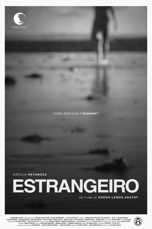 Movie poster for Estrangeiro (2018)