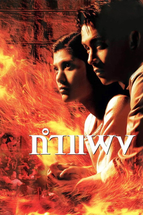 Movie poster for The Wall (1999)