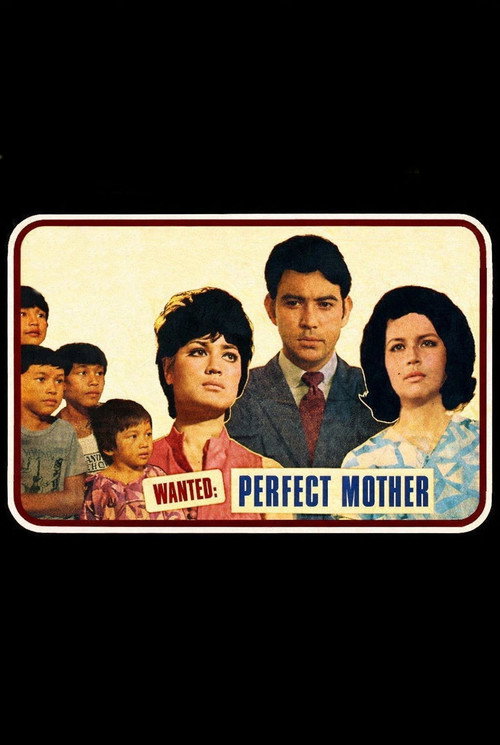 Movie poster for Wanted: Perfect Mother (1970)