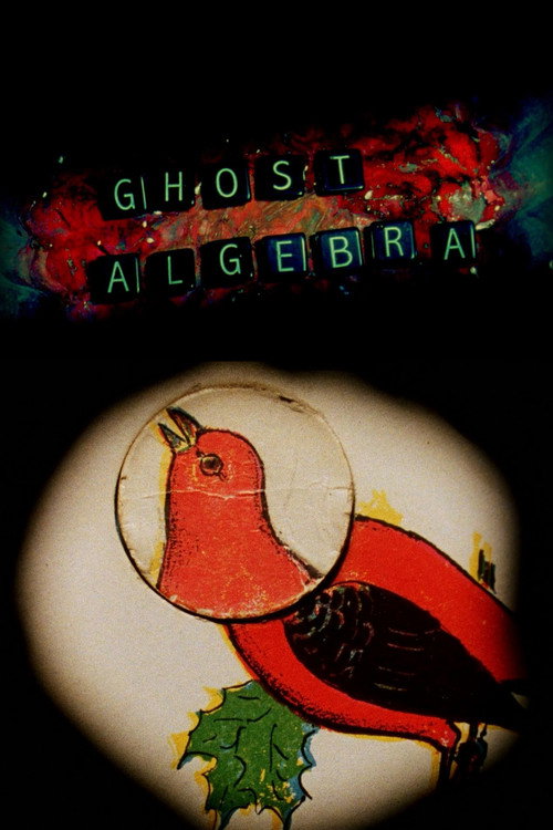 Movie poster for Ghost Algebra (2010)