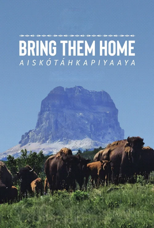 Movie poster for Bring Them Home (2024)