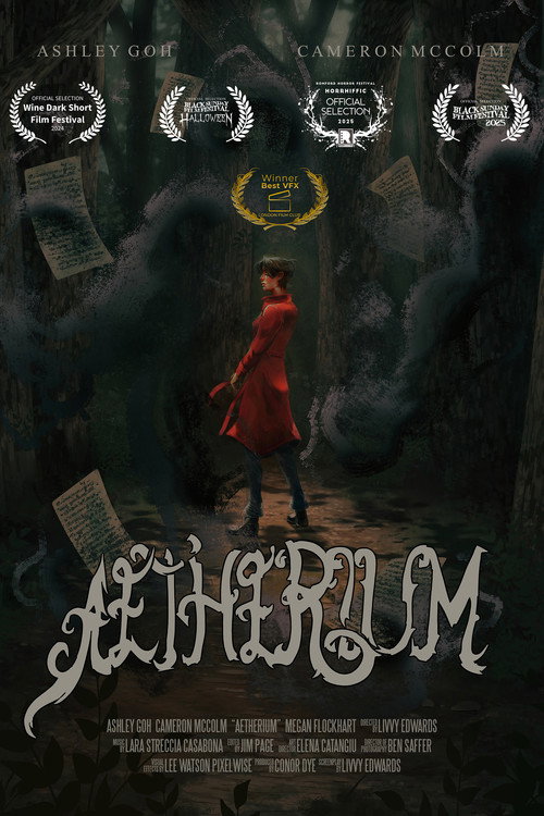 Movie poster for Aetherium (2024)
