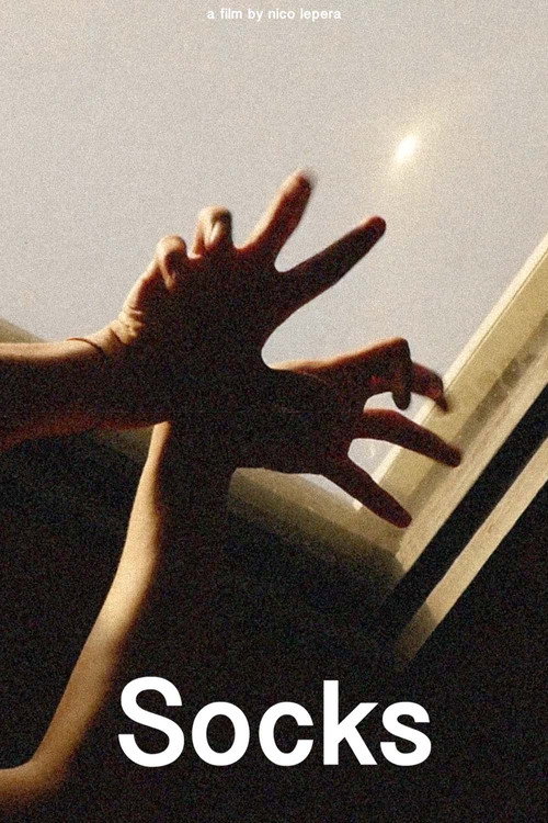 Movie poster for Socks (2020)