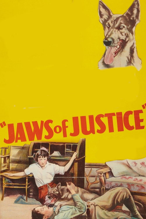 Movie poster for Jaws of Justice (1933)