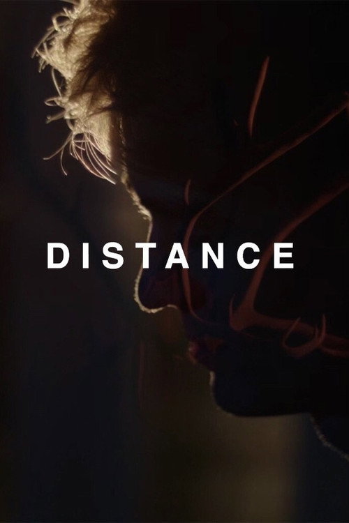 Movie poster for Distance (2022)