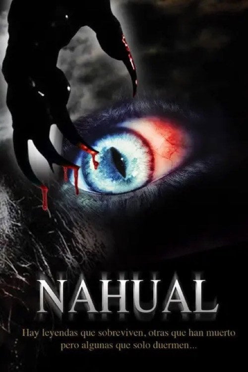 Movie poster for El Fantástico vs. el nahual (2006)
