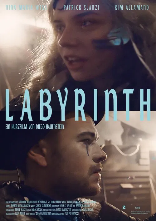 Movie poster for Labyrinth (2016)