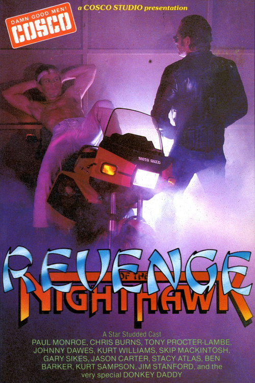 Movie poster for Revenge of the Nighthawk in Leather (1983)
