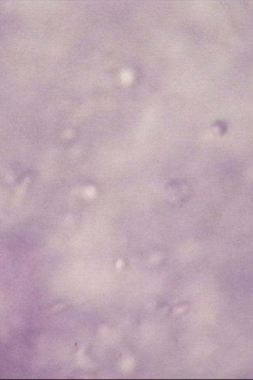 Movie poster for Sperm Sea (1994)