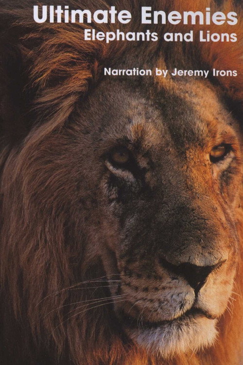 Movie poster for Ultimate Enemies: Elephants and Lions (2003)