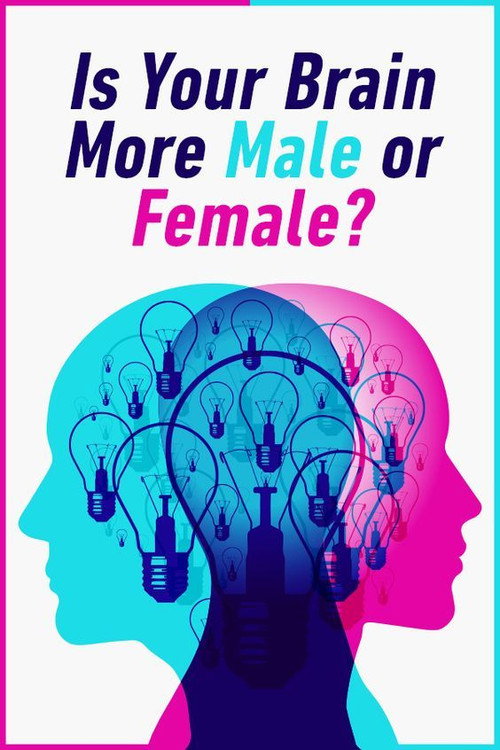 Movie poster for Is Your Brain Male or Female? (2014)