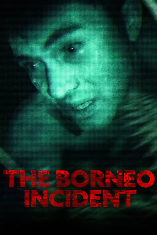 Movie poster for The Borneo Incident (2013)