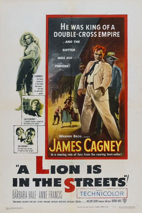 Movie poster for A Lion Is in the Streets (1953)
