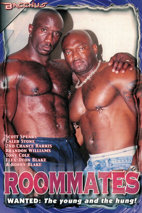 Movie poster for Roommates (2002)