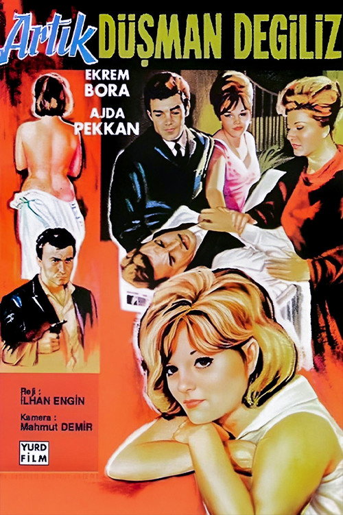 Movie poster for Artık Düşman Değiliz (1965)