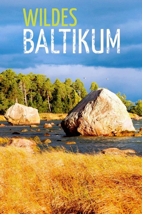 Wildes Baltikum poster