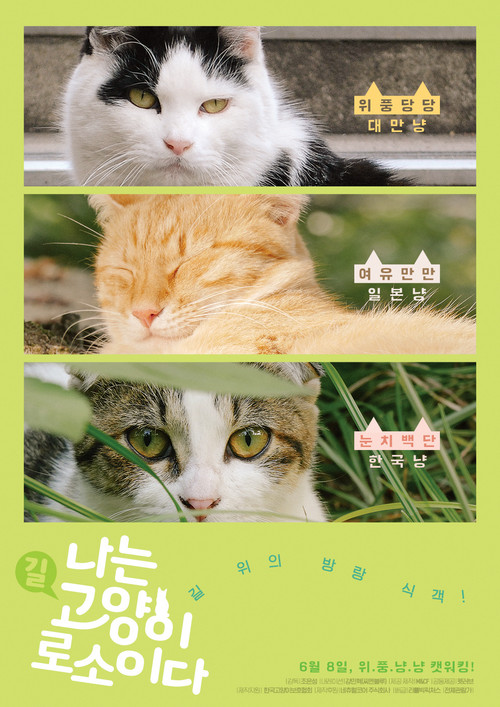 Movie poster for I am a Cat (2017)