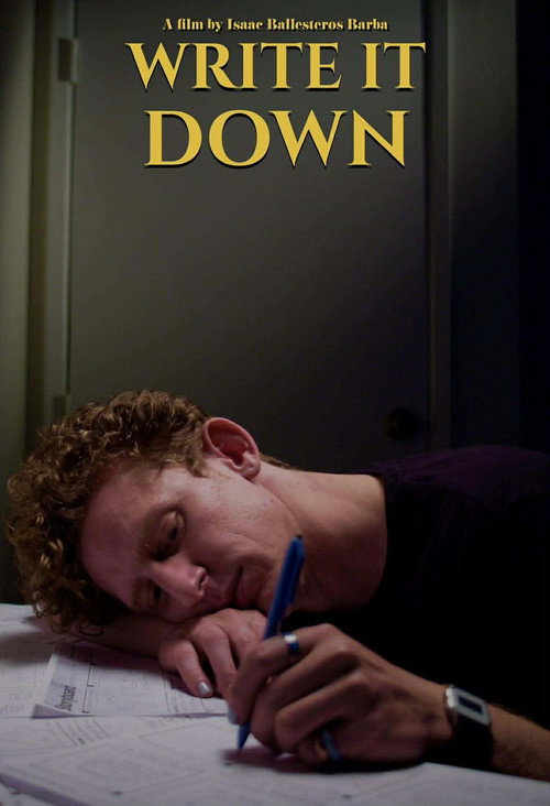 Movie poster for Write It Down