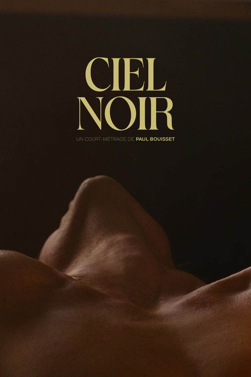 Movie poster for Ciel noir