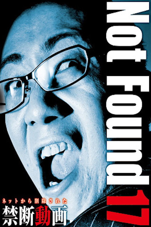 Movie poster for Not Found 17 (2015)