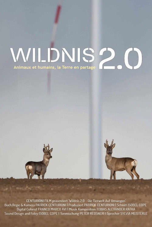 Movie poster for Wildnis 2.0 - Die Tierwelt auf Umwegen (2024)