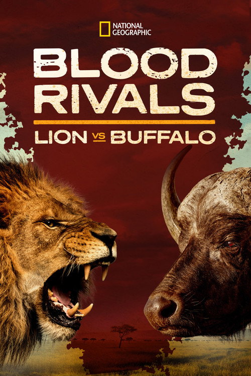 Movie poster for Blood Rivals: Lion vs Buffalo (2014)