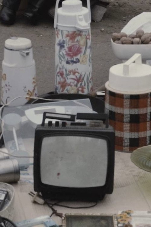 Movie poster for Flea Market (2020)