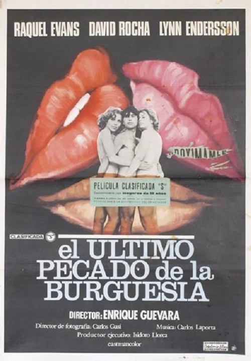 Movie poster for Last Sin of the Bourgeoisie (1978)