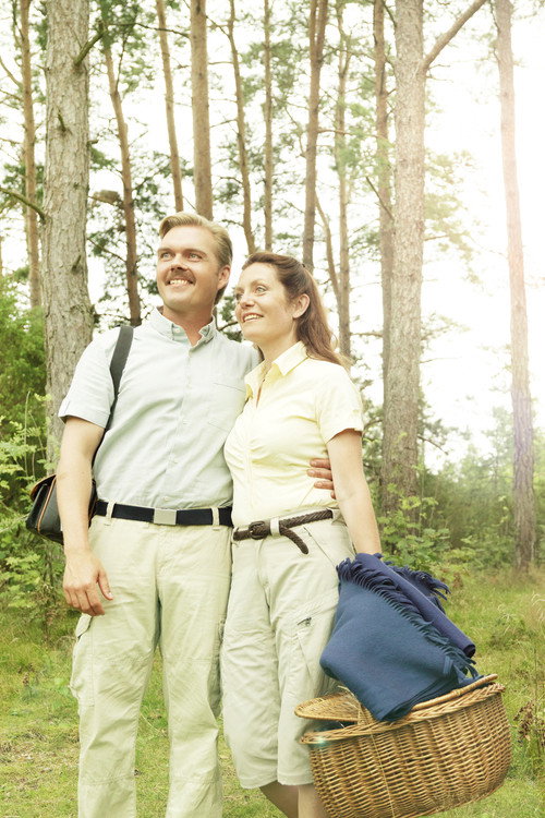 Movie poster for Picnic (2010)