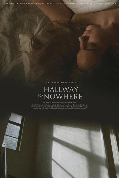 Movie poster for Hallway to Nowhere (2025)