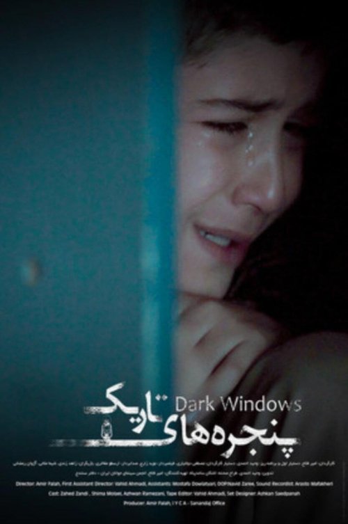 Movie poster for Dark Windows (2019)