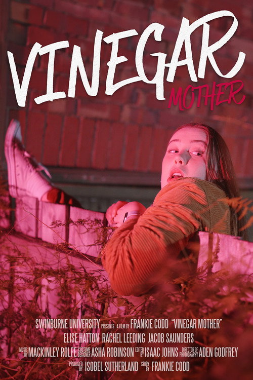 Movie poster for Vinegar Mother (2024)