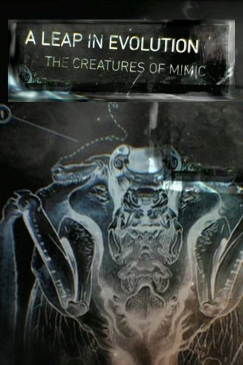 Movie poster for A Leap in Evolution: The Creatures of 'Mimic' (2011)