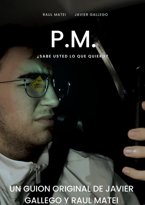 Movie poster for P.M