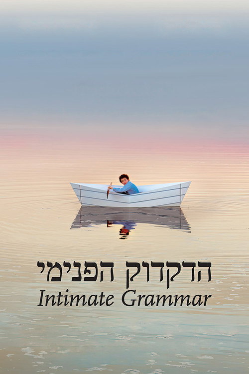 Movie poster for Intimate Grammar (2010)