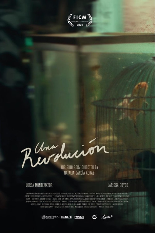 Movie poster for A Revolution (2023)