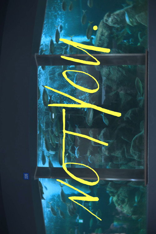 Movie poster for NOT YOU. (2025)
