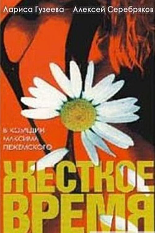 Movie poster for Tough Time (1996)