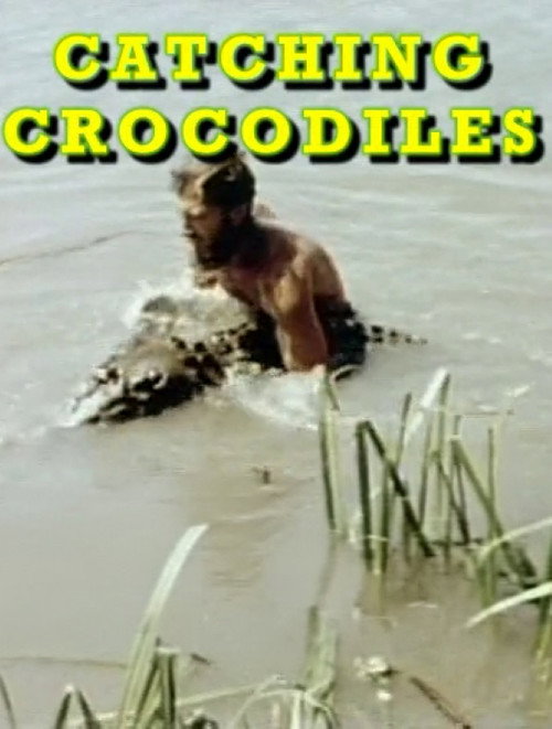 Movie poster for Catching Crocodiles (1985)