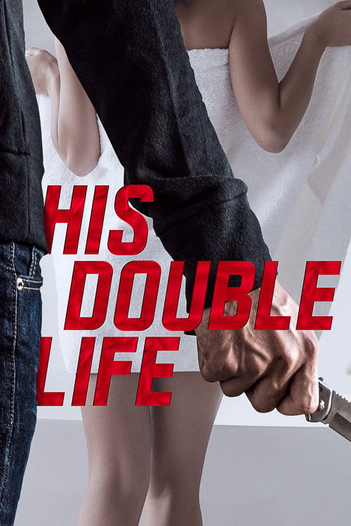 Movie poster for His Double Life (2016)