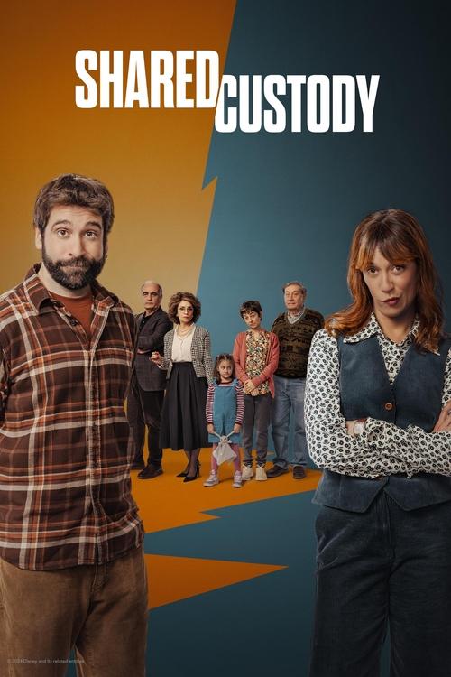 Shared Custody poster
