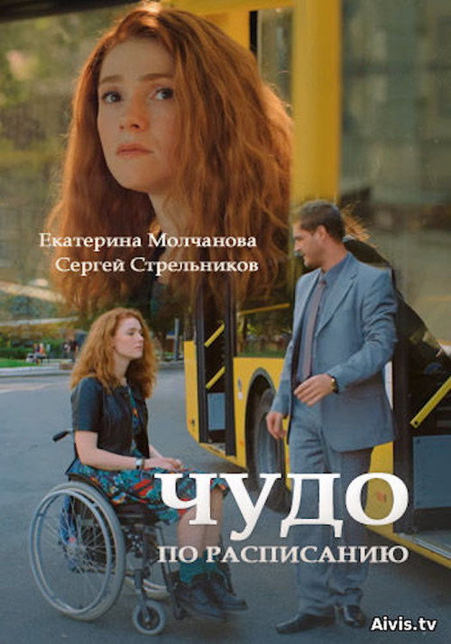 Movie poster for Miracle on Schedule (2016)