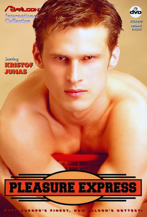 Movie poster for Pleasure Express (1994)