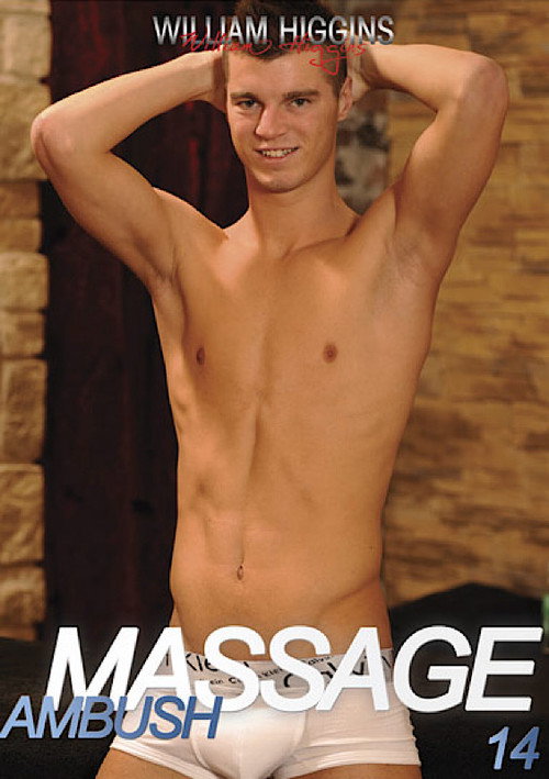Movie poster for Ambush Massage 14 (2013)