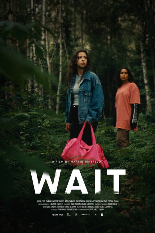 Movie poster for Wait (2024)