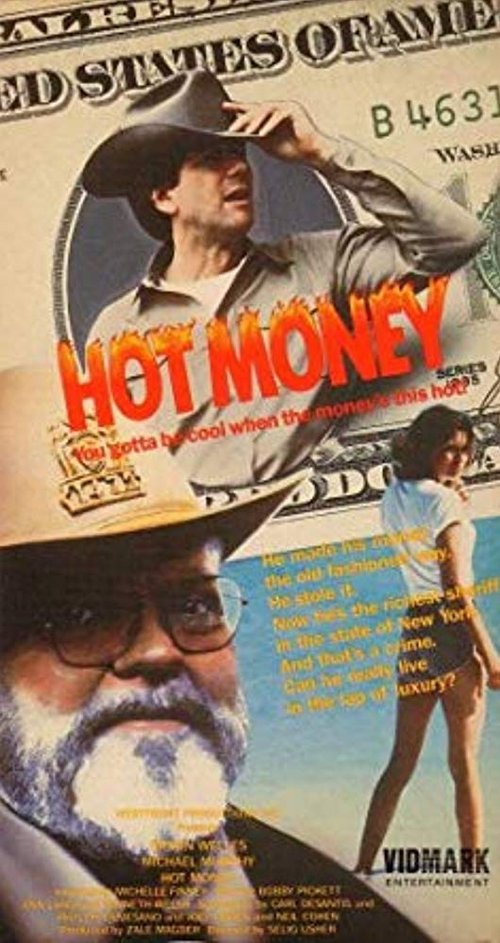 Movie poster for Hot Money (1983)