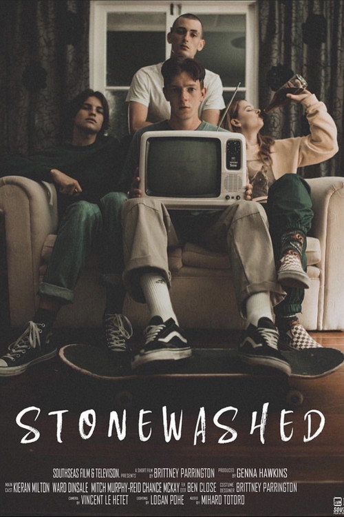 Movie poster for Stonewashed (2018)