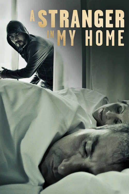Series poster for A Stranger in My Home (2013)