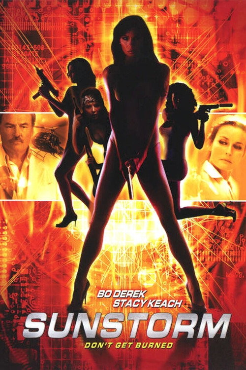 Movie poster for Sunstorm (2001)