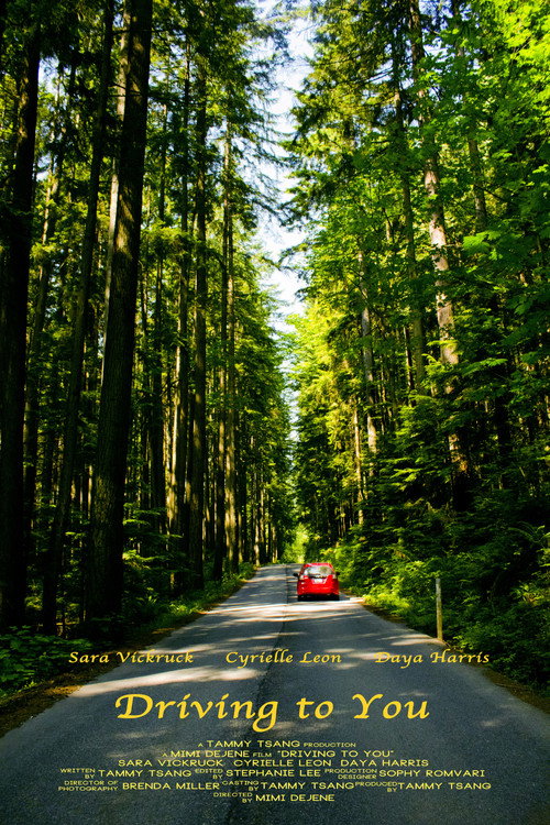 Movie poster for Driving to You (2013)